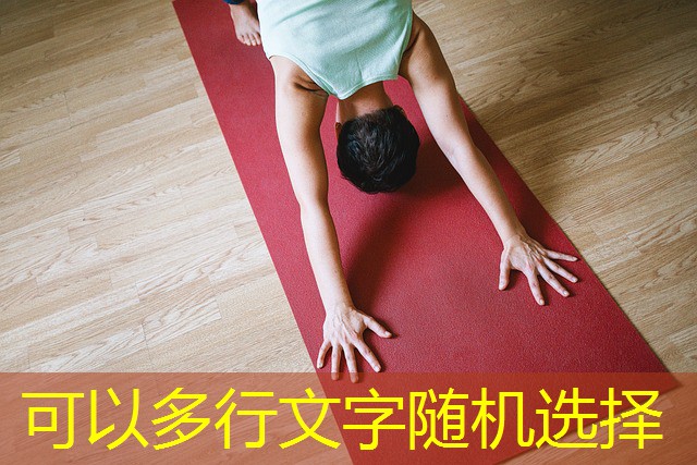 como jogar o cassino