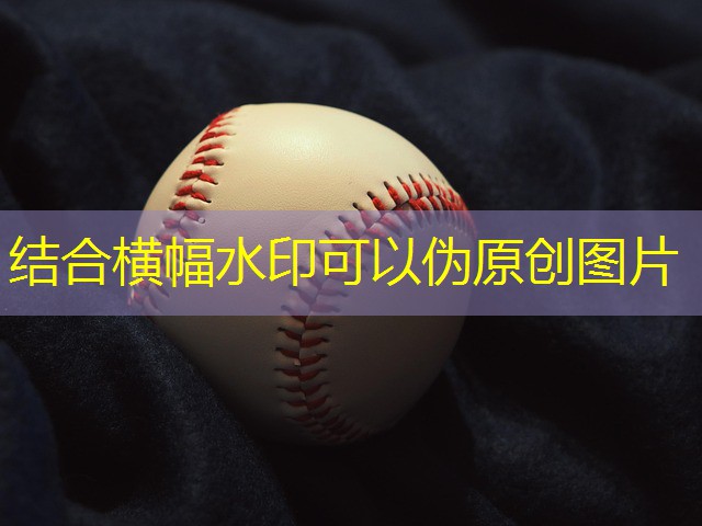 jogos de carta no cassino