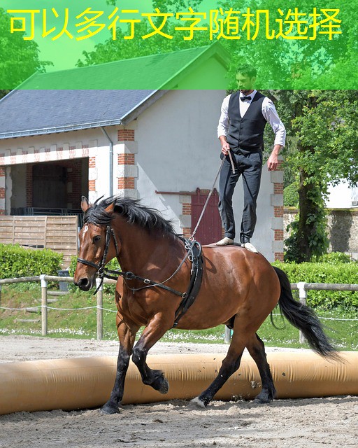 jogando no cassino png