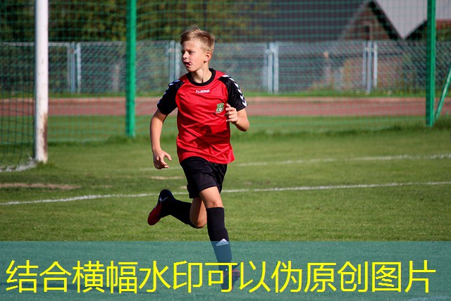 como jogar maquona de cassino argentina