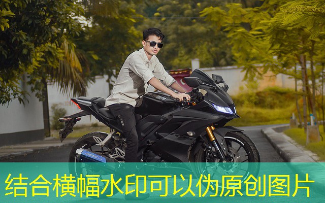 jogo do dolar cassino