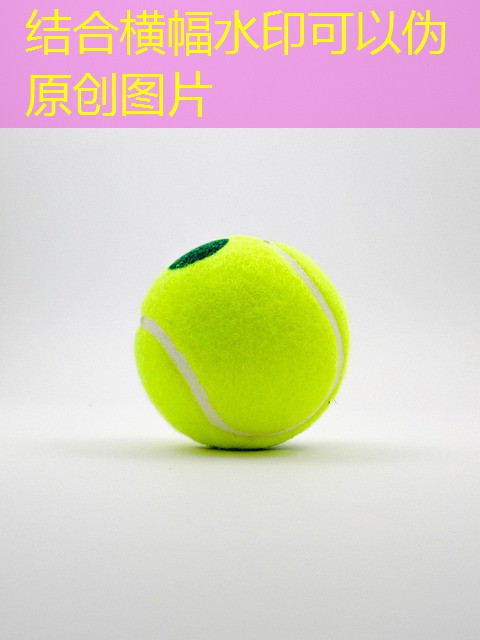 jogo cassino roleta shot df