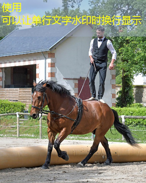 jogo do thor cassino