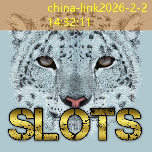 china-link china-link